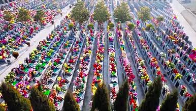 4K航拍清明节祭祖扫墓墓地公墓视频的预览图